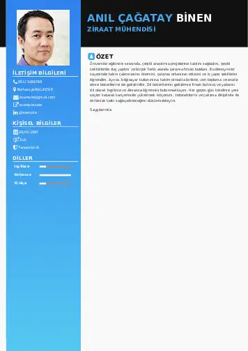 Ziraat Mühendisi Cv Örnekleri cv indir